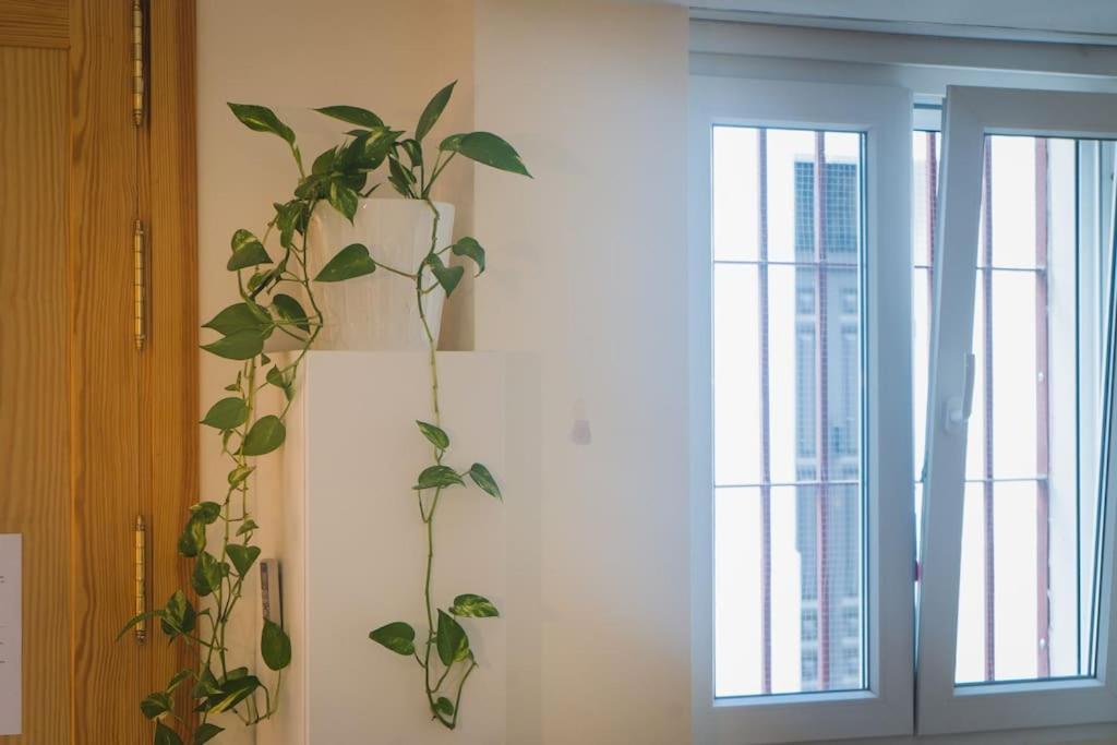 Estudio A Estrenar En Sta Clara Sevilla Exteriér fotografie